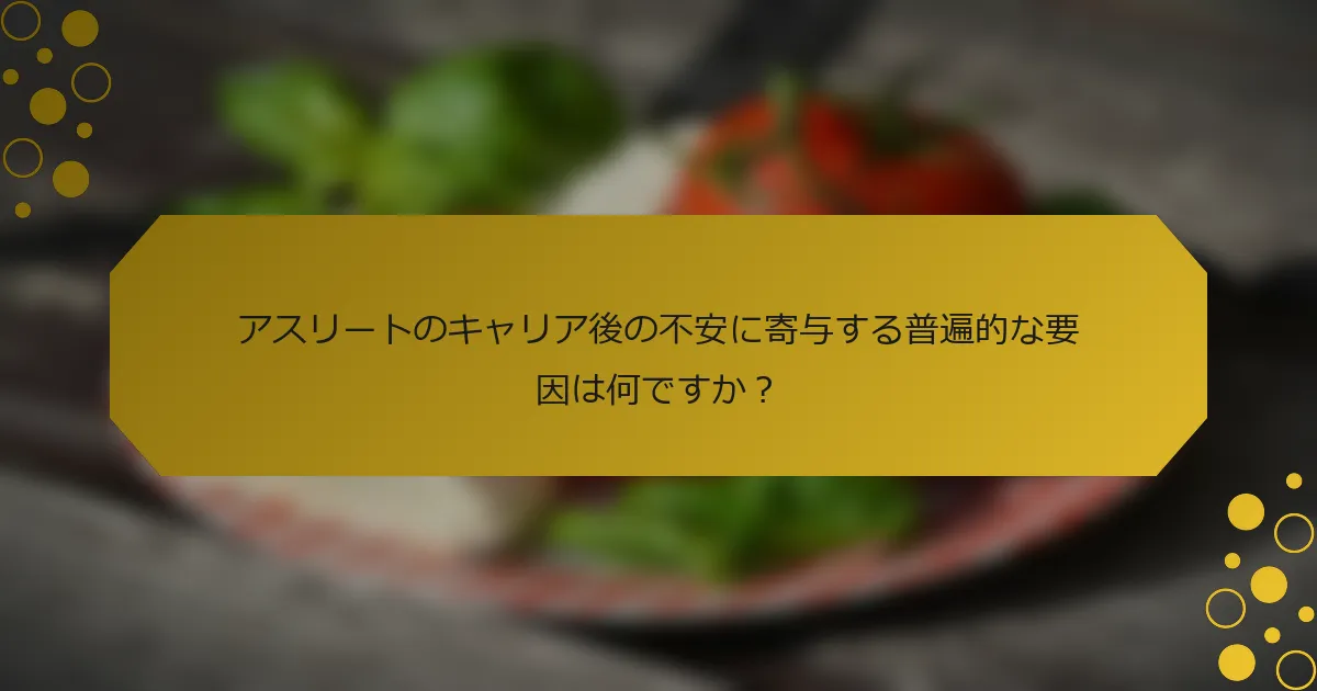 アスリートのキャリア後の不安に寄与する普遍的な要因は何ですか？